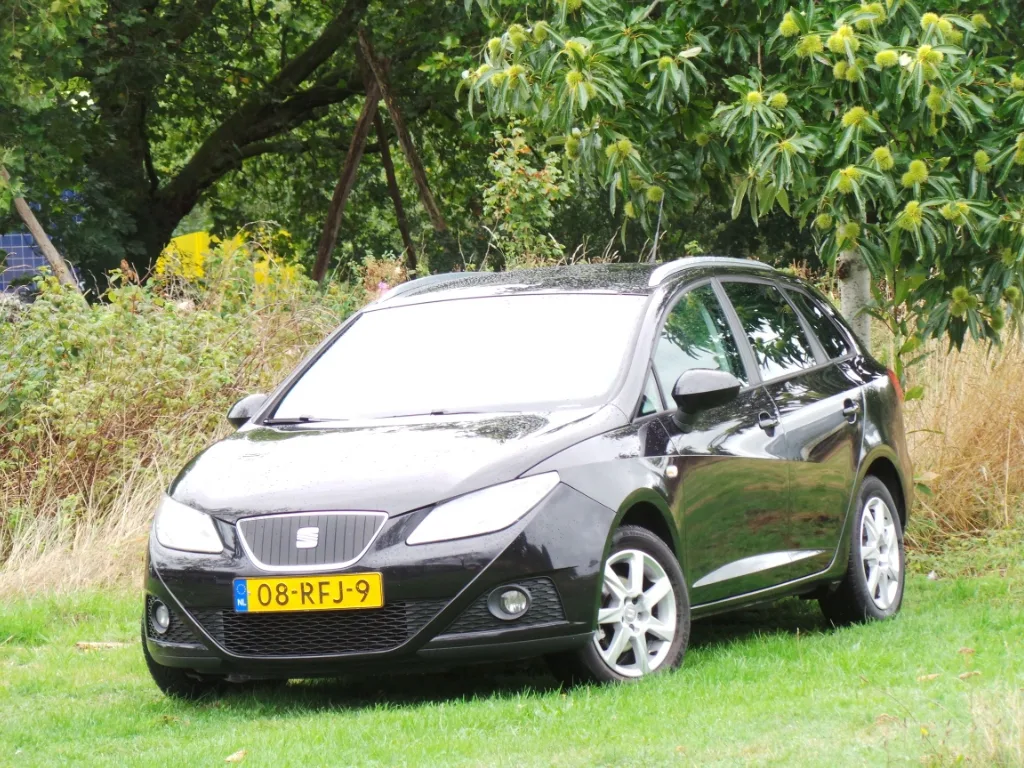 SEAT Ibiza (2011) — foto 1