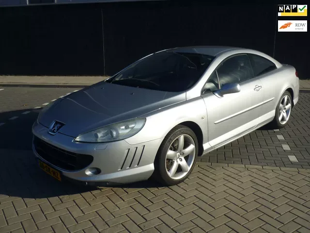 Peugeot 407 (2006) — foto 1