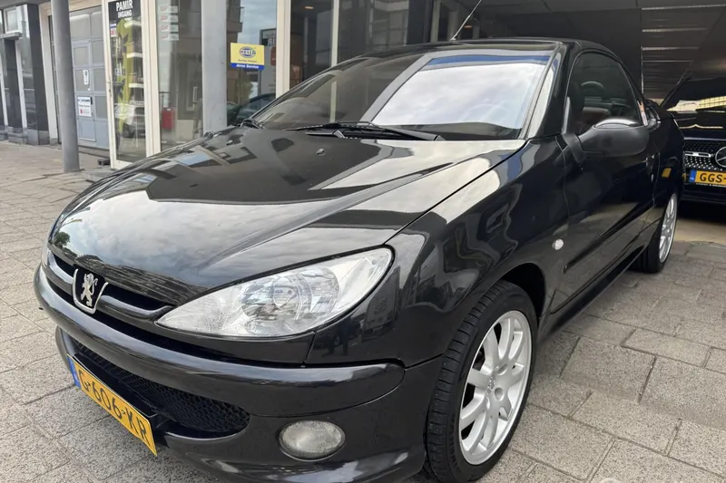 Peugeot 206 (2004)