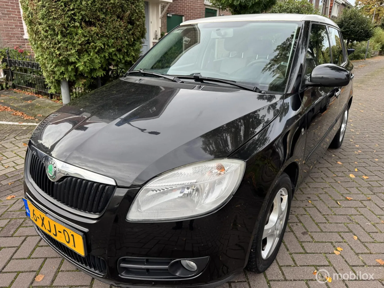 Škoda Fabia (2009) — foto 1