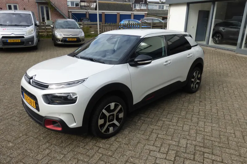 Citroën C4 Cactus (2019)