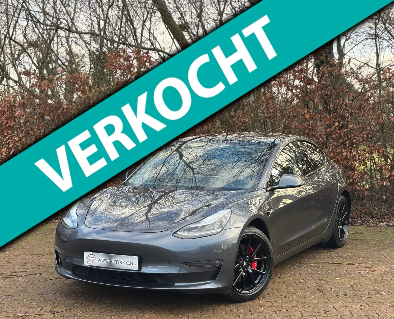 Tesla Model 3 (2019) — foto 1