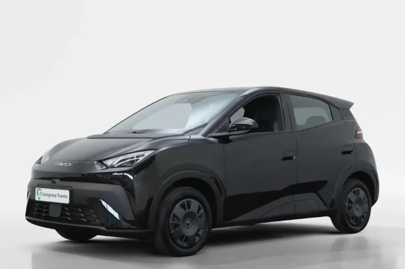 BYD Dolphin (2026)
