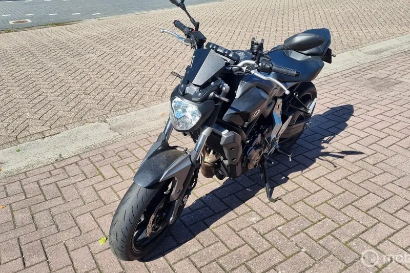 Yamaha MT 07 Moto Cage (2015)