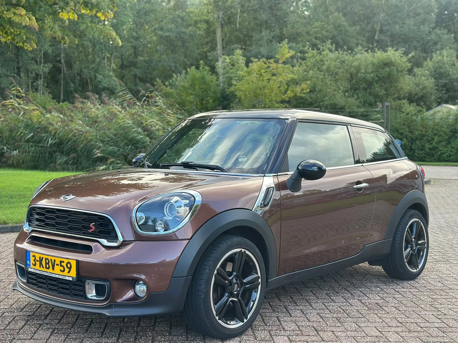 MINI Paceman (2013) — foto 1