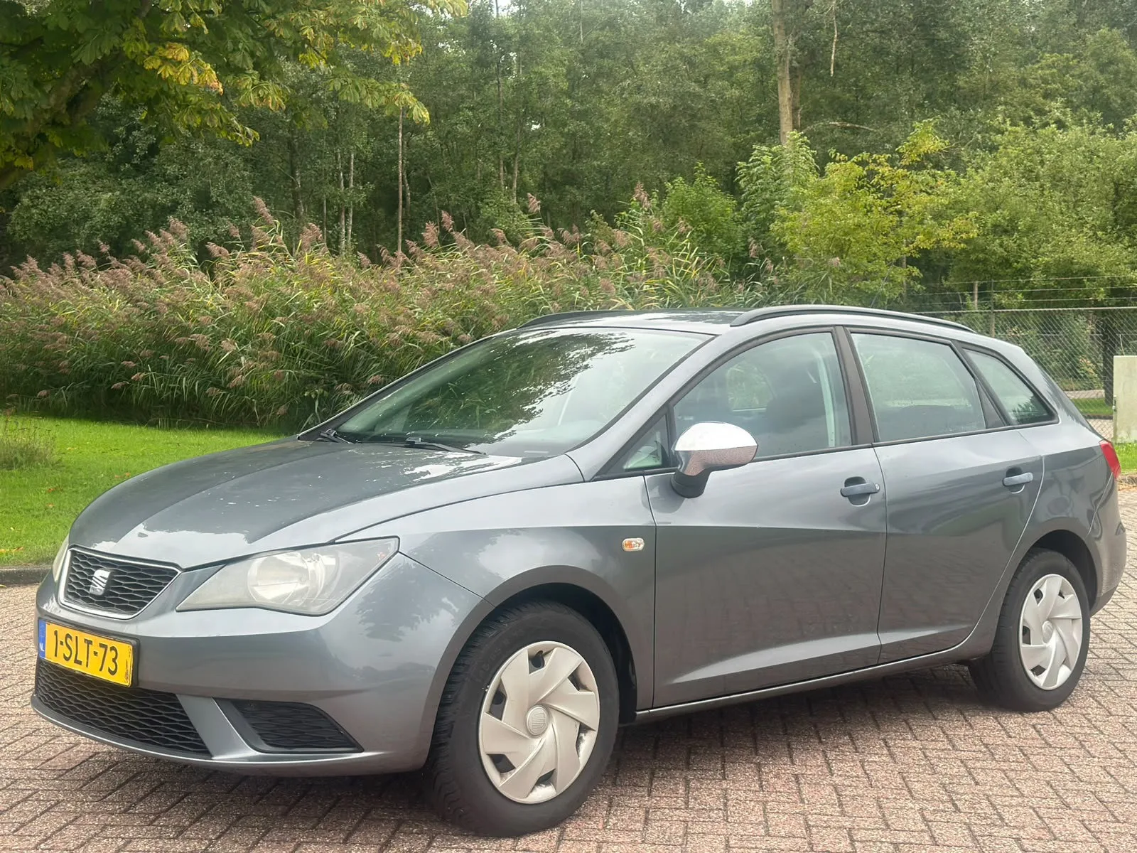 SEAT Ibiza (2014) — foto 1