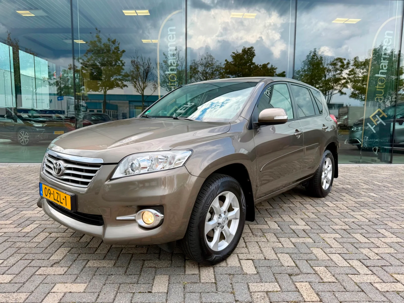 Toyota RAV4 (2010) — foto 1