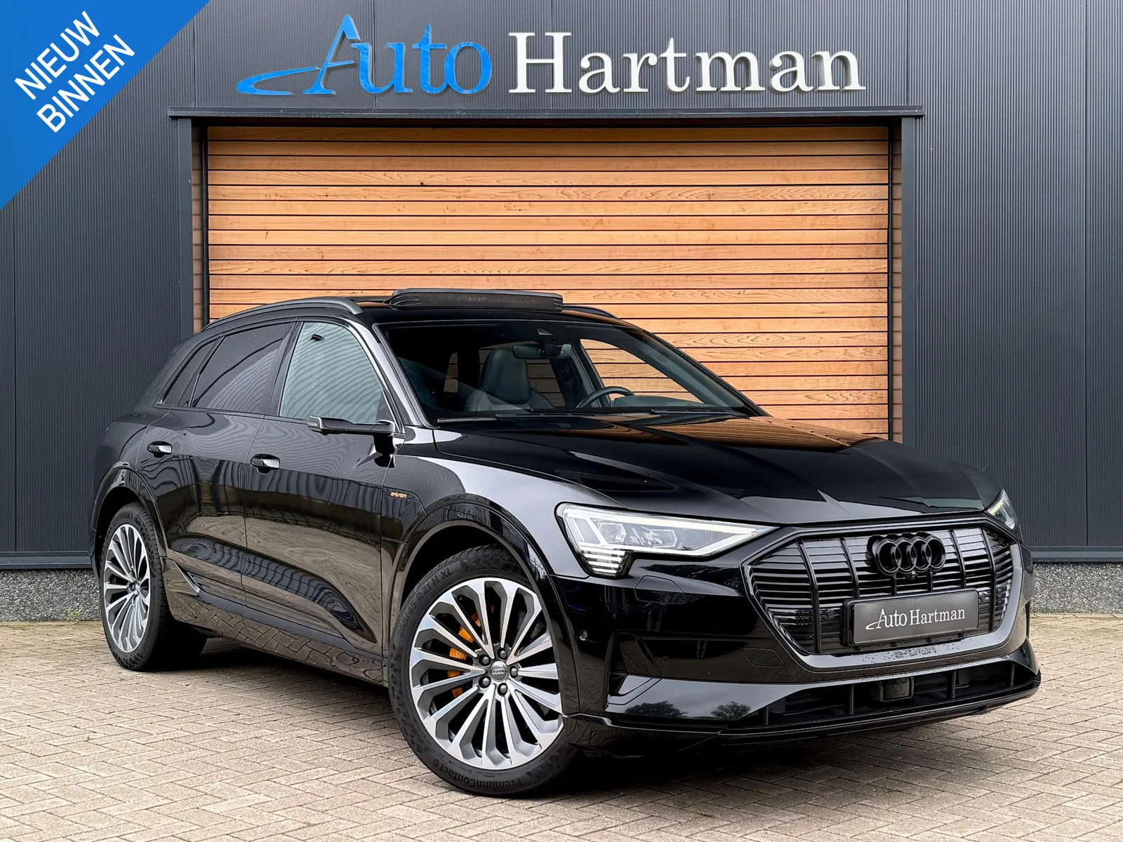 Audi e-tron (2019) — foto 1