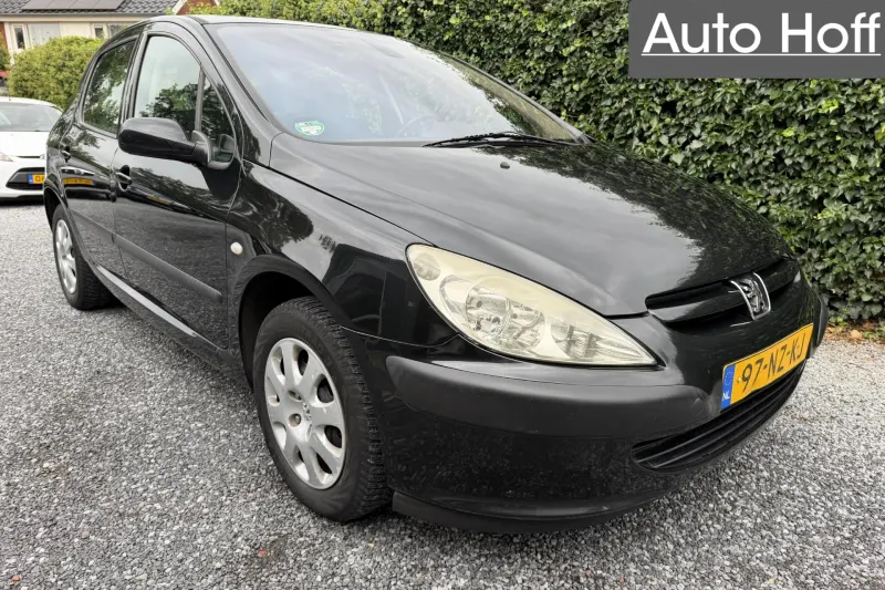 Peugeot 307 (2004)