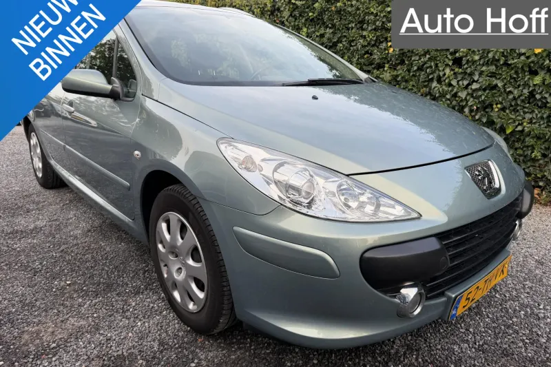 Peugeot 307 (2006)