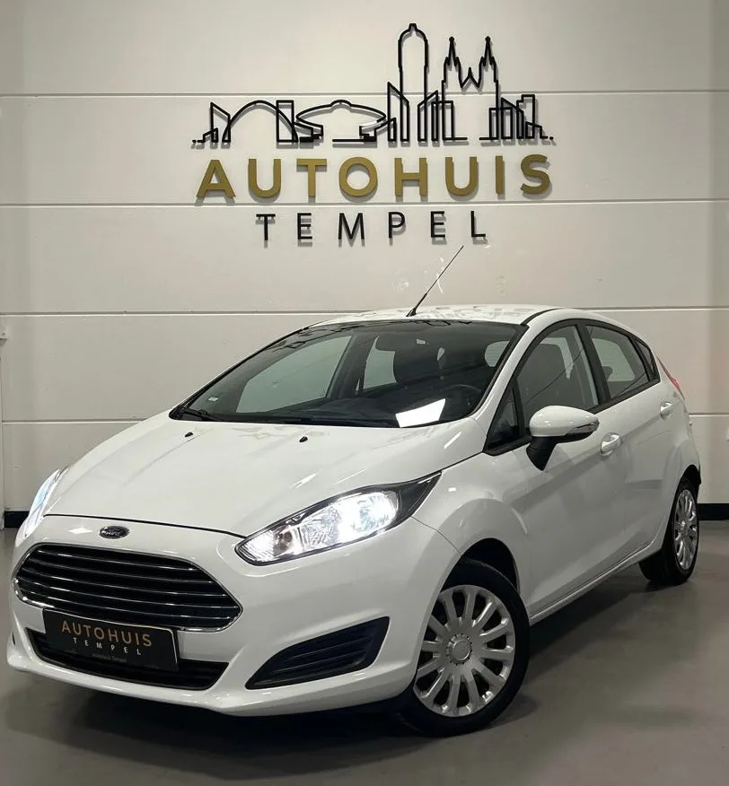 Ford Fiesta (2014) — foto 1