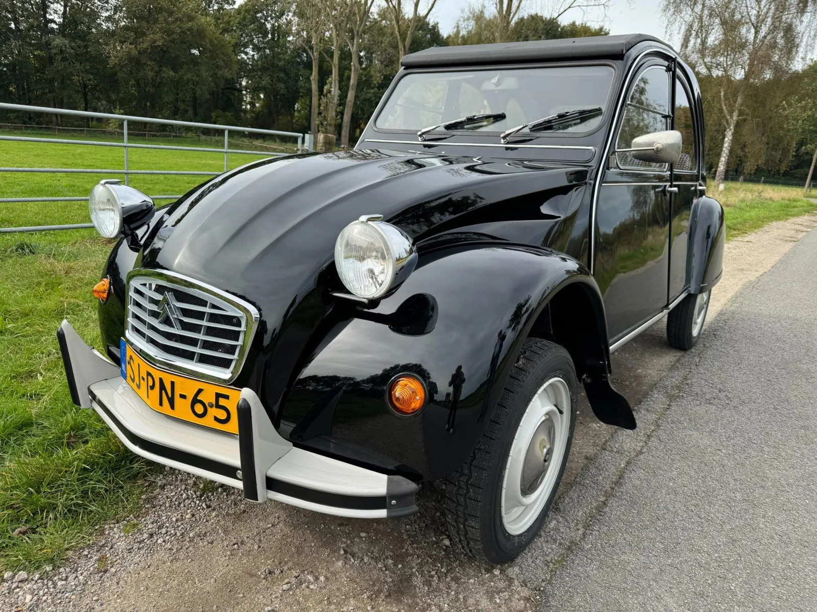 Citroën 2CV (1991) — foto 1