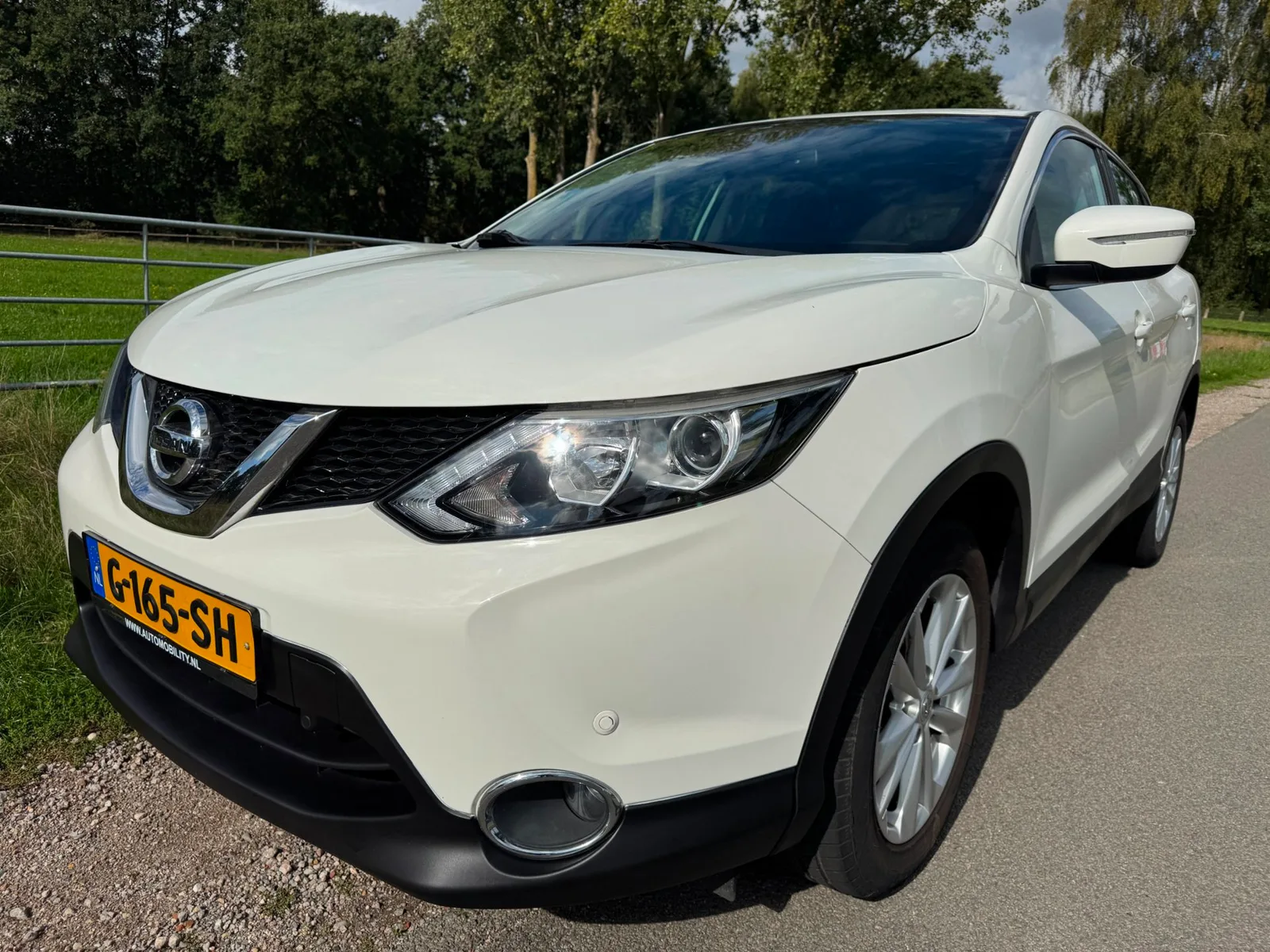 Nissan Qashqai (2014) — foto 1