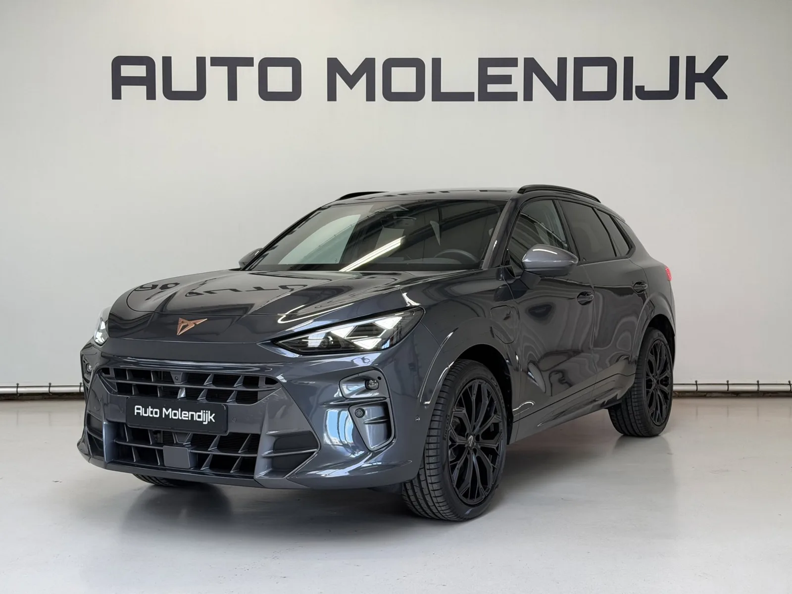 CUPRA Terramar (2025) — foto 1