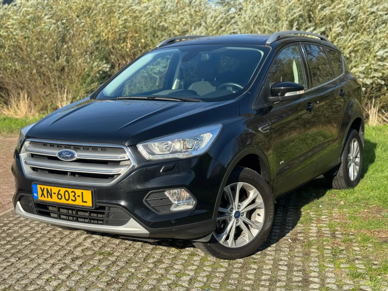Ford Kuga (2017) — foto 1