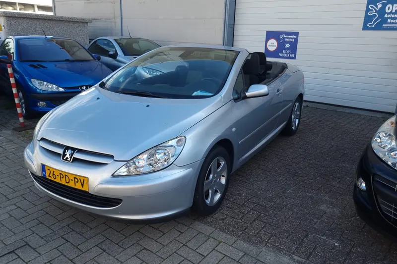 Peugeot 307 (2004)