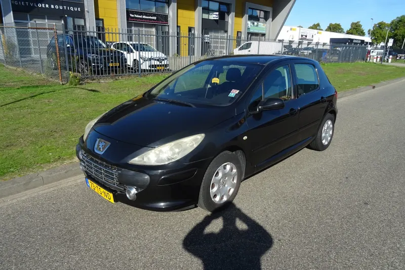 Peugeot 307 (2007)