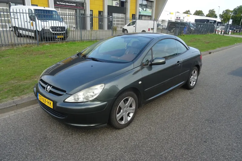 Peugeot 307 (2004)