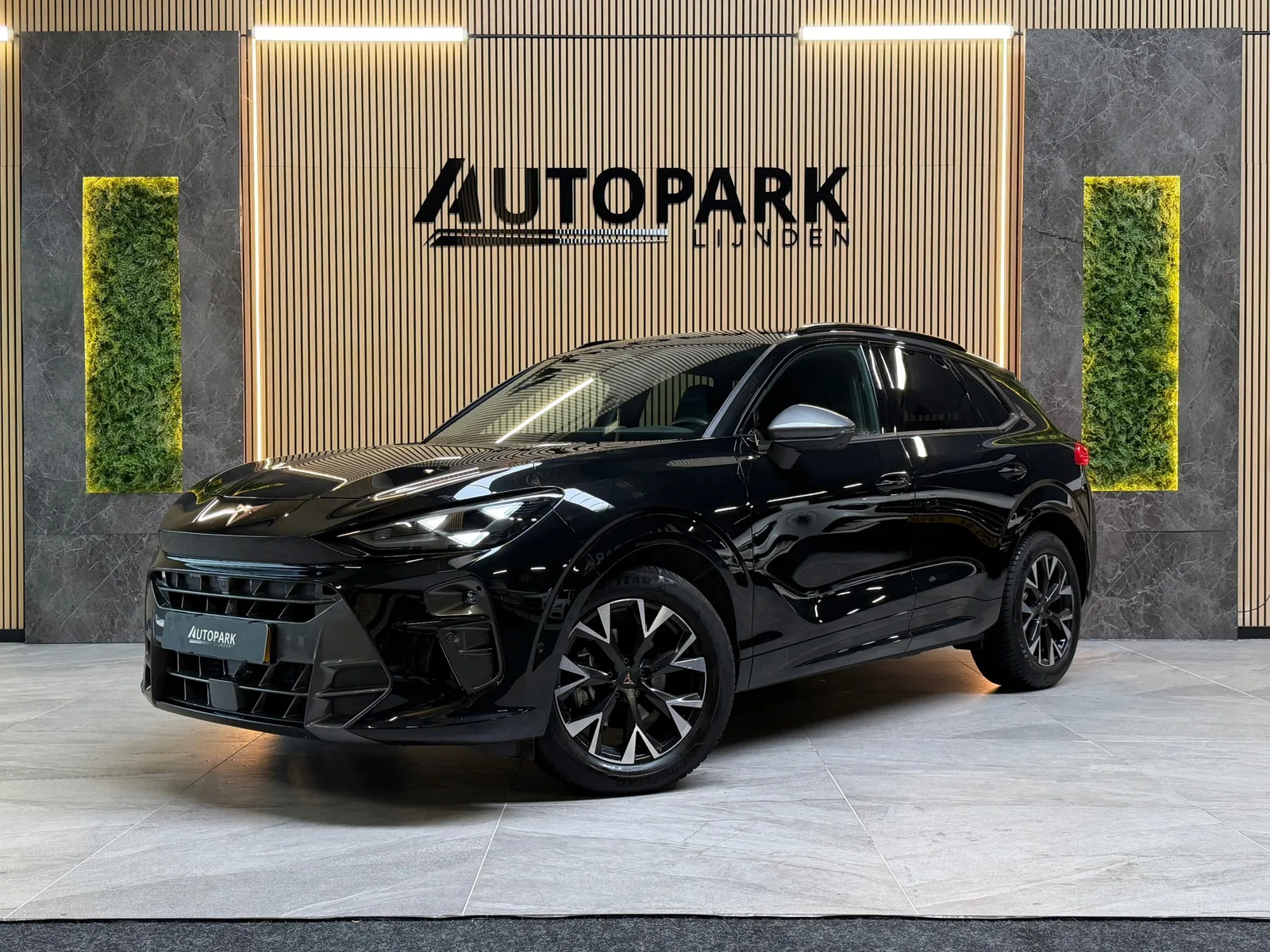 CUPRA Terramar (2025) — foto 1