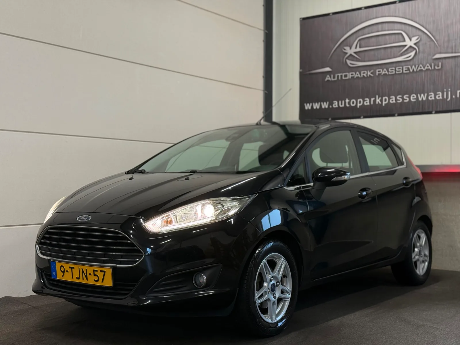 Ford Fiesta (2014) — foto 1