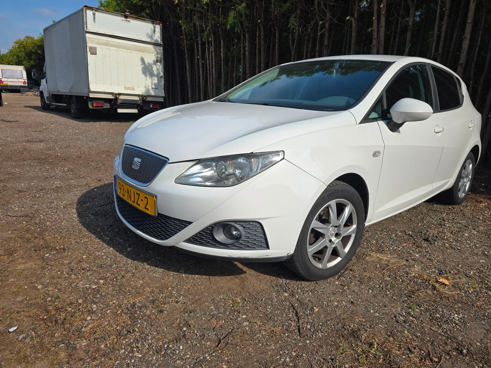 SEAT Ibiza (2010) — foto 1