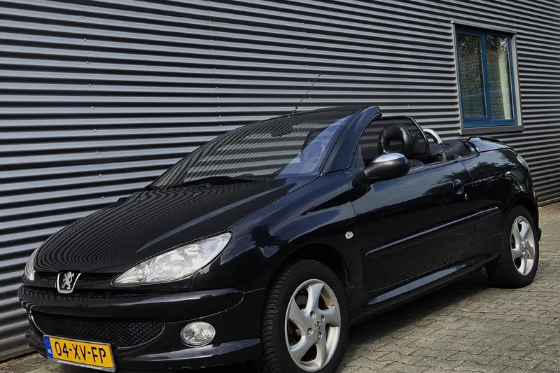 Peugeot 206 (2004)