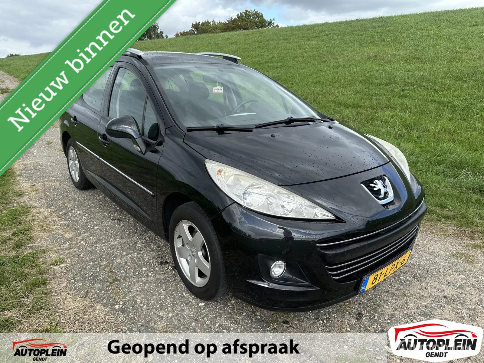 Peugeot 207 (2010) — foto 1
