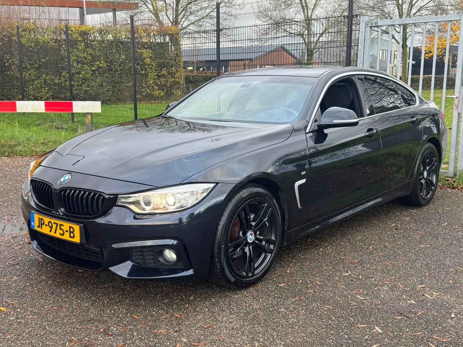 BMW 4-Serie Gran Coupé (2016) — foto 1