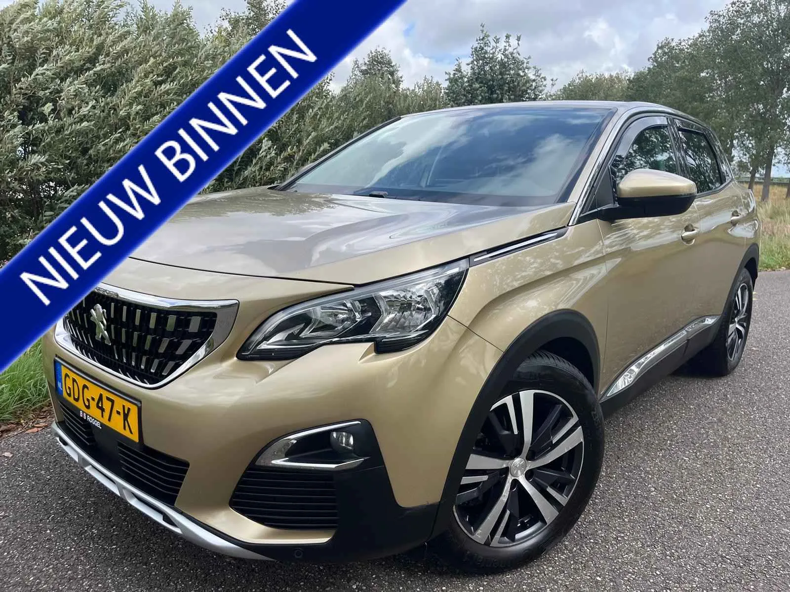 Peugeot 3008 (2017) — foto 1