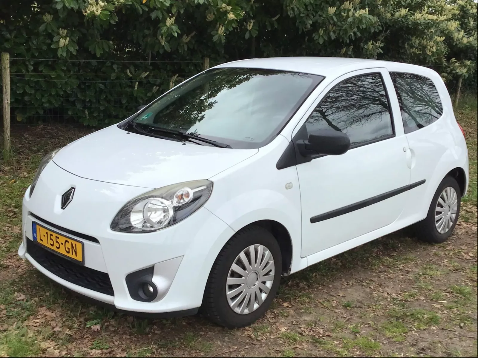 Renault Twingo (2010) — foto 1