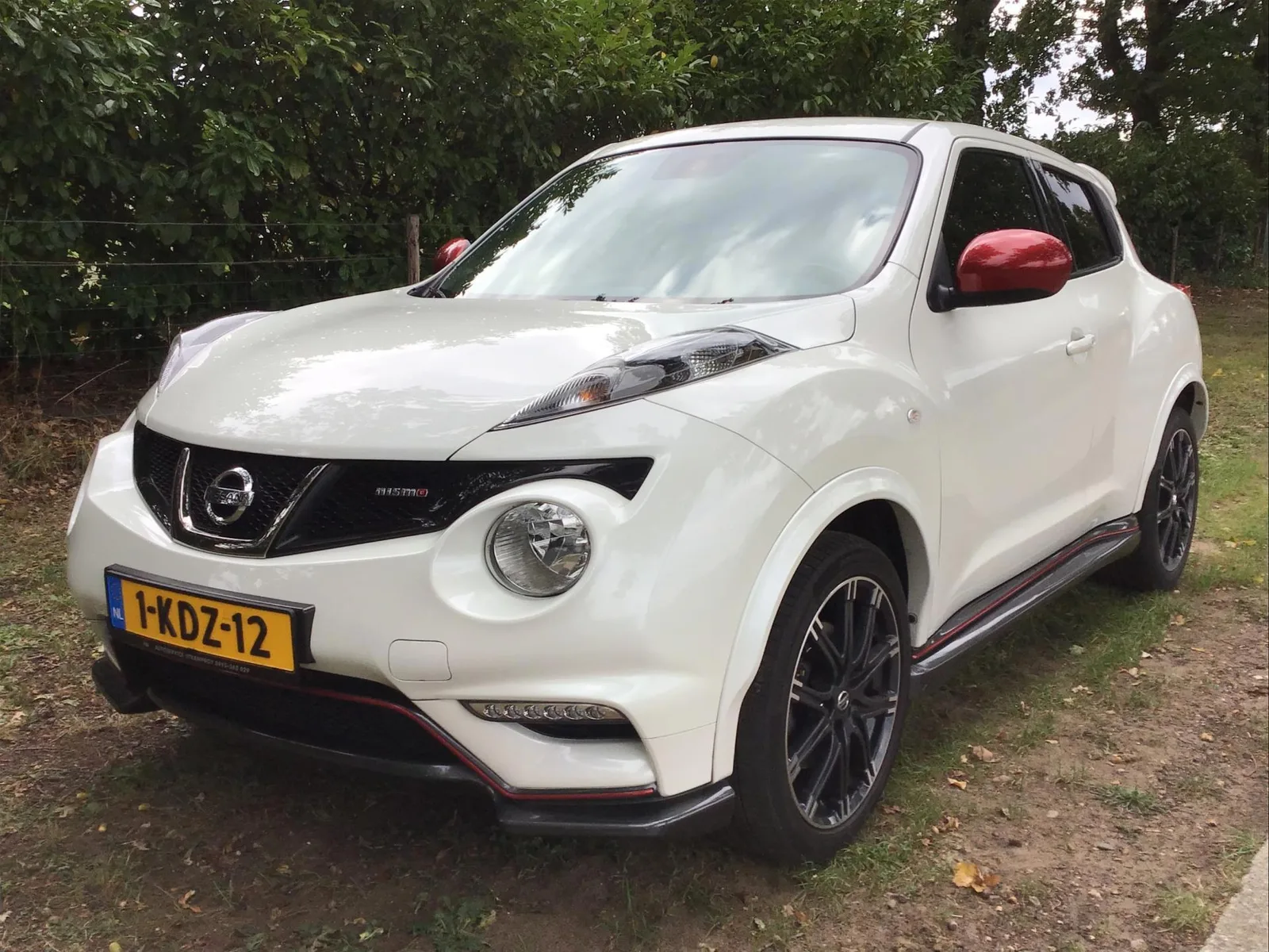 Nissan Juke (2013) — foto 1