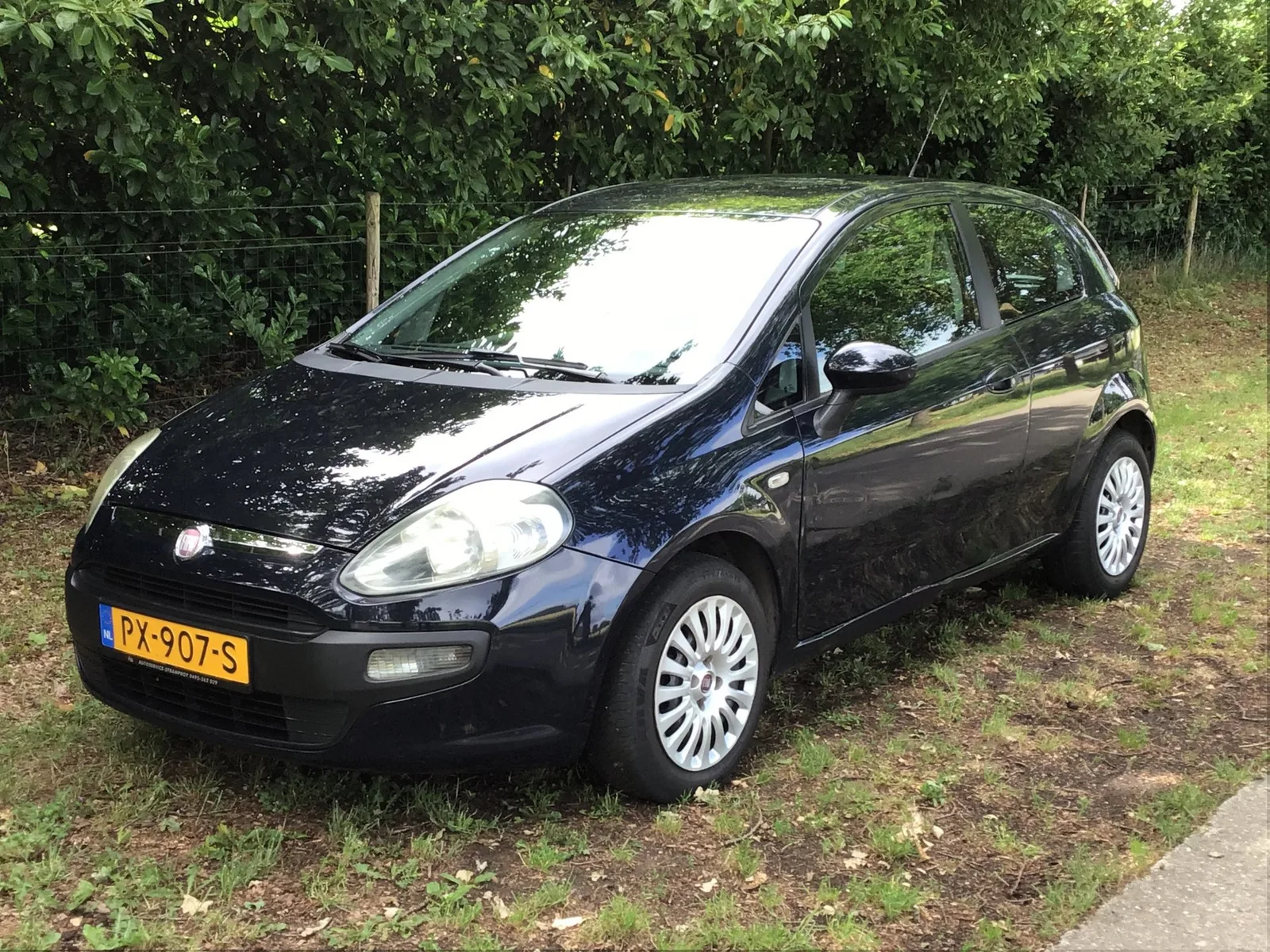Fiat Punto Evo (2011) — foto 1