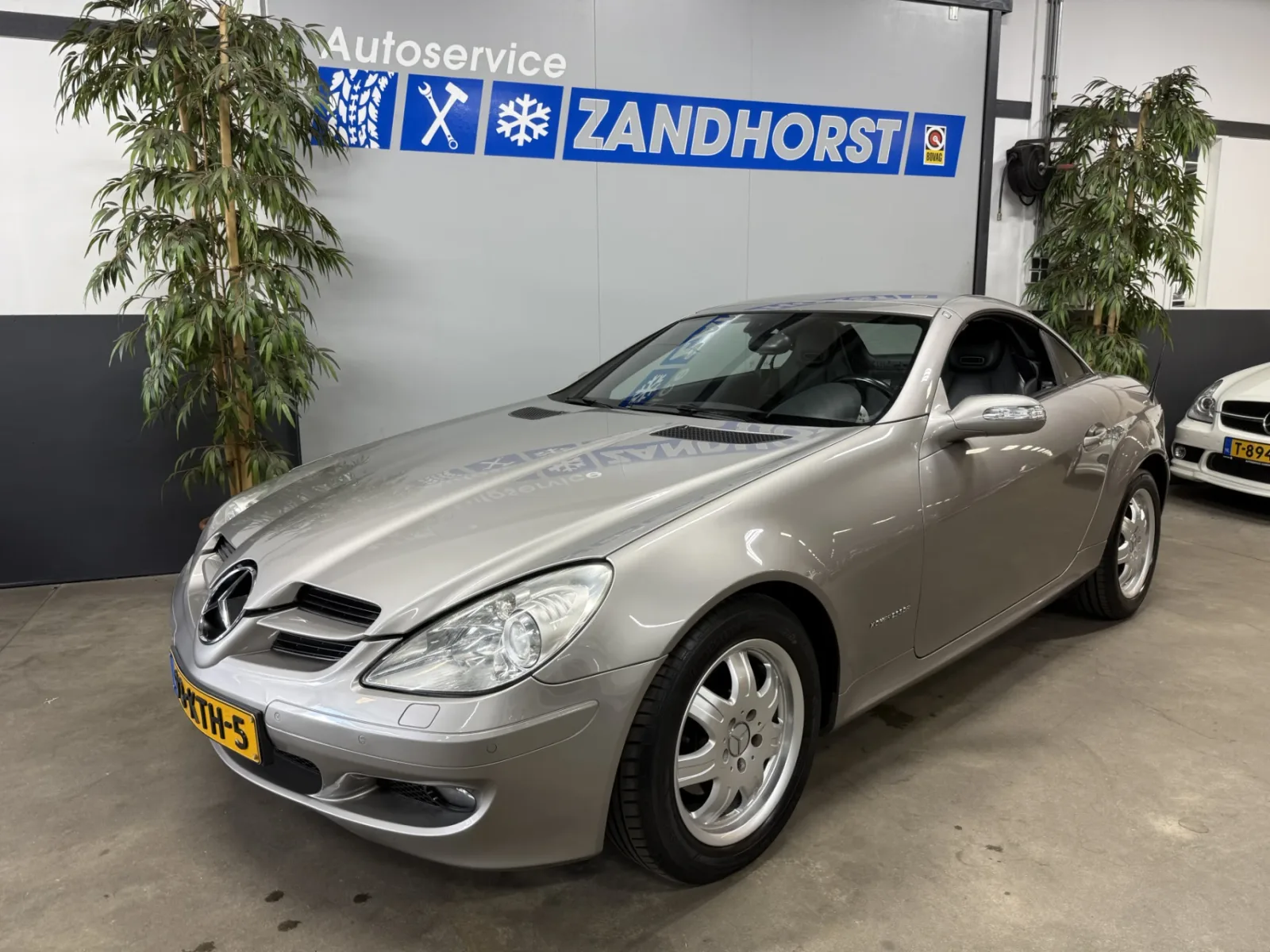 Mercedes-Benz SLK-Klasse (2006) — foto 1
