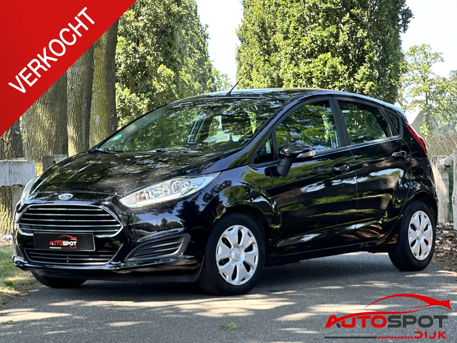 Ford Fiesta (2015) — foto 1