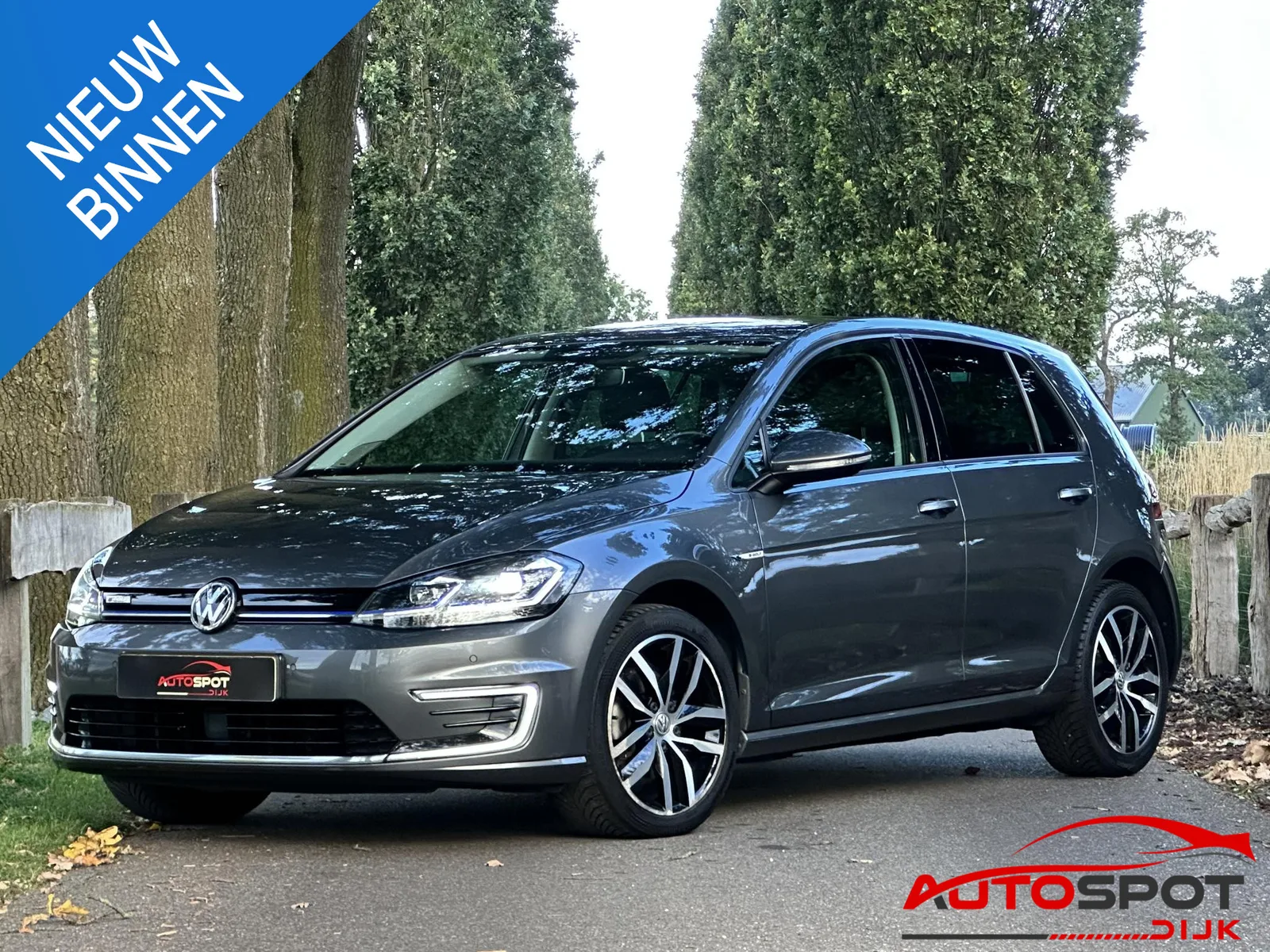 Volkswagen e-Golf (2019) — foto 1