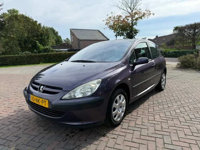 Peugeot 307 (2003) — foto 1