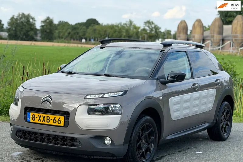 Citroën C4 Cactus (2014)