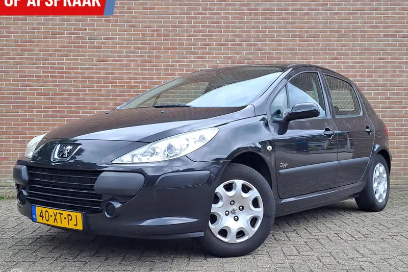 Peugeot 307 (2008)