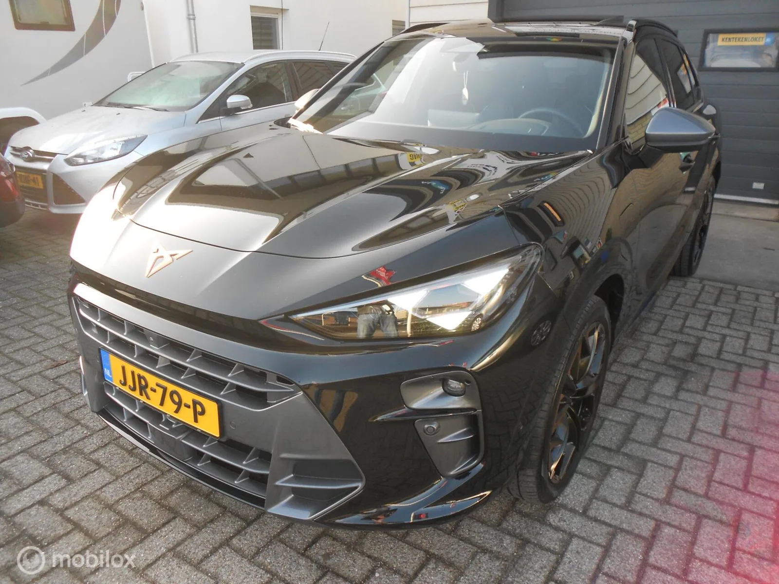 CUPRA Terramar (2025) — foto 1