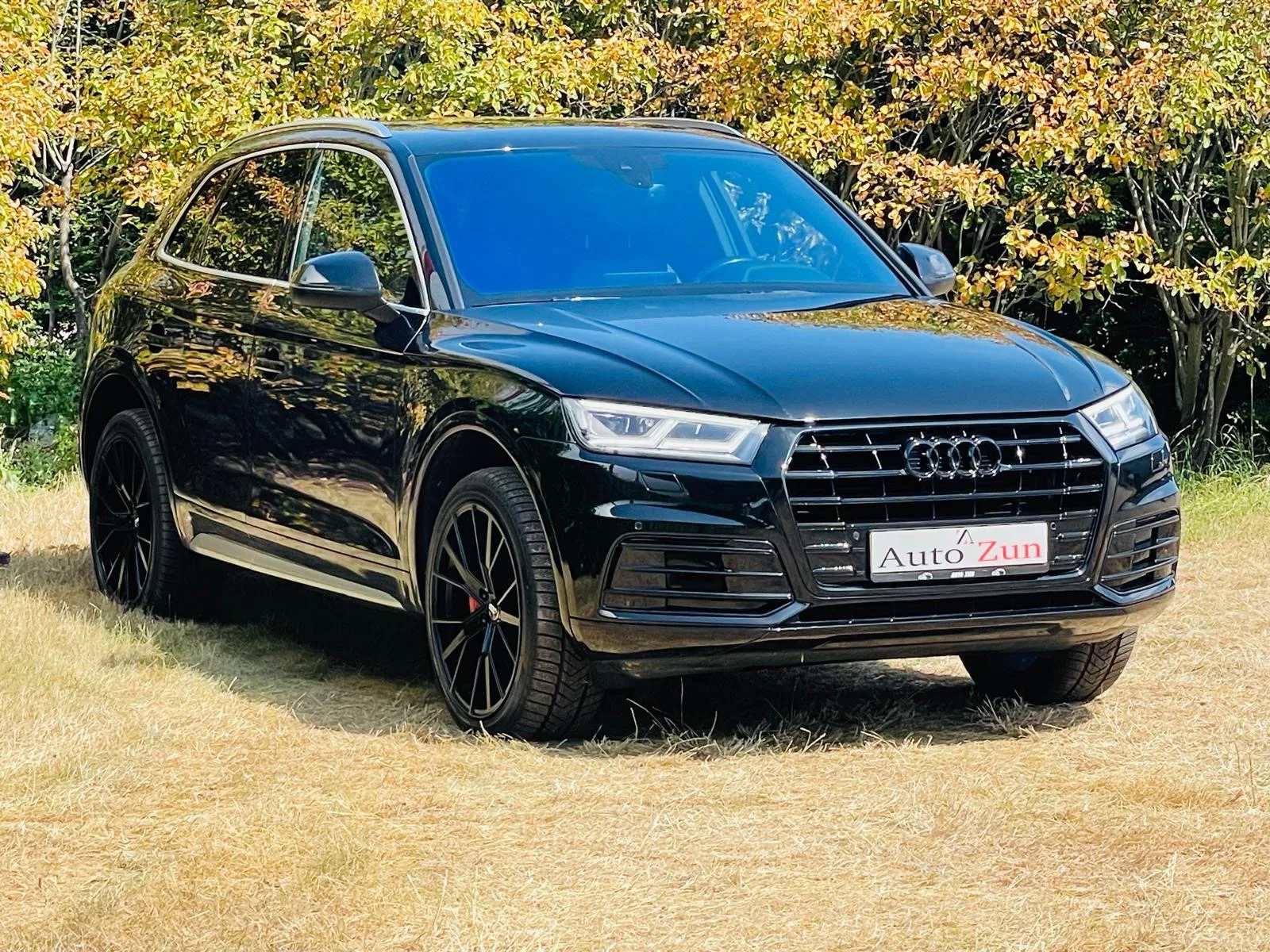 Audi Q5 (2018) — foto 1