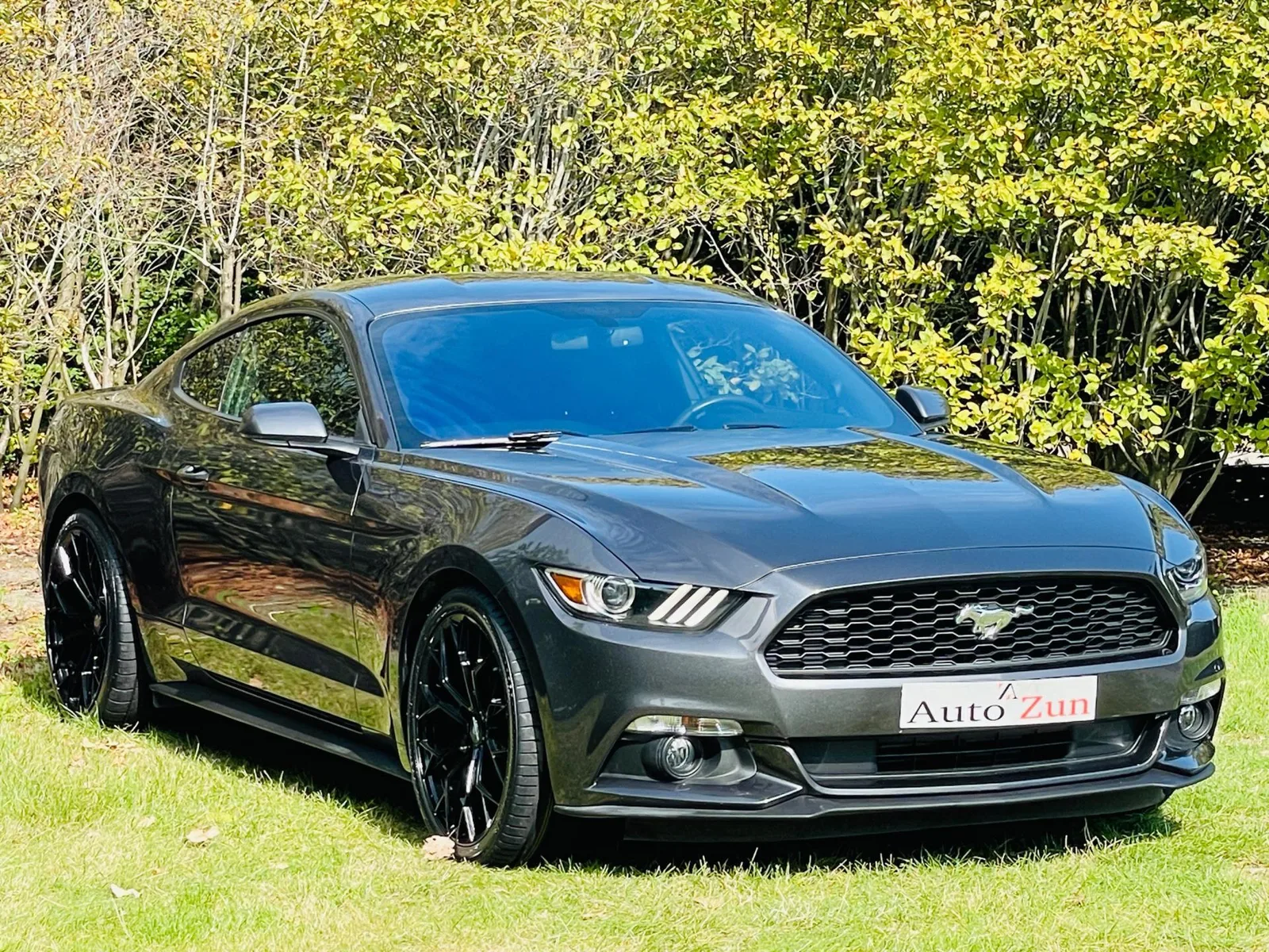 Ford Mustang (2016) — foto 1