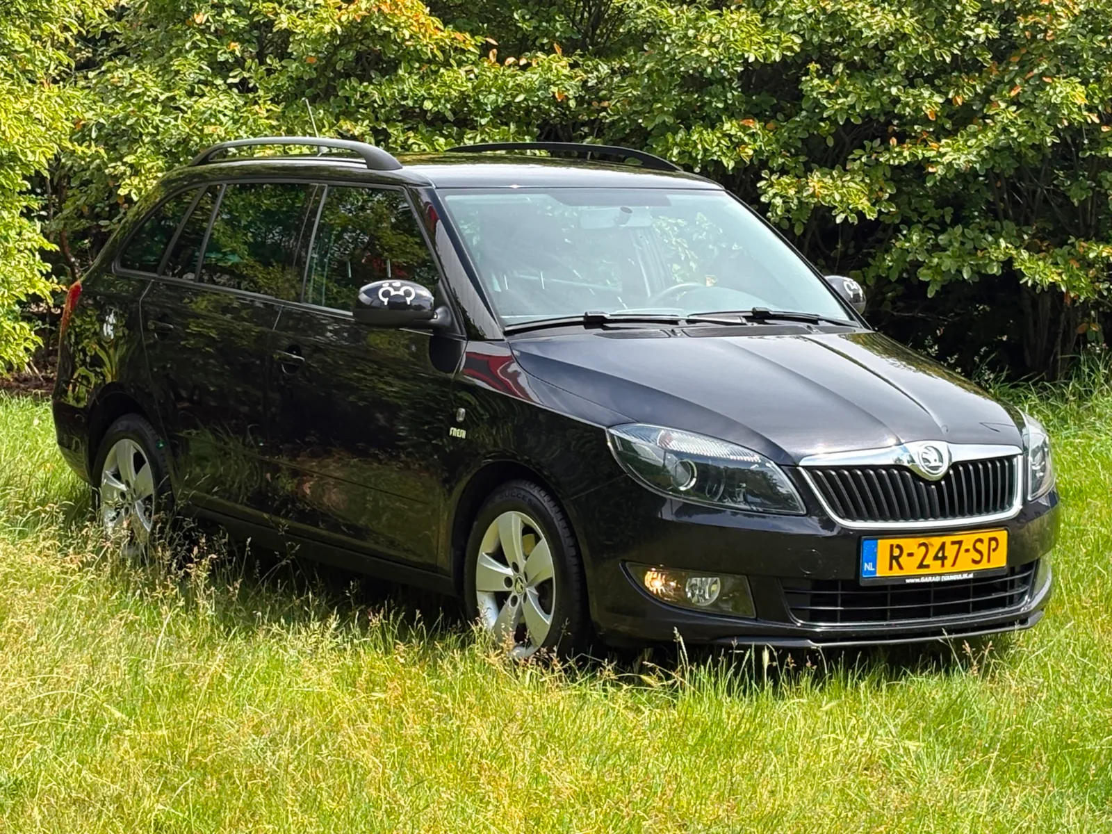 Škoda Fabia (2013) — foto 1