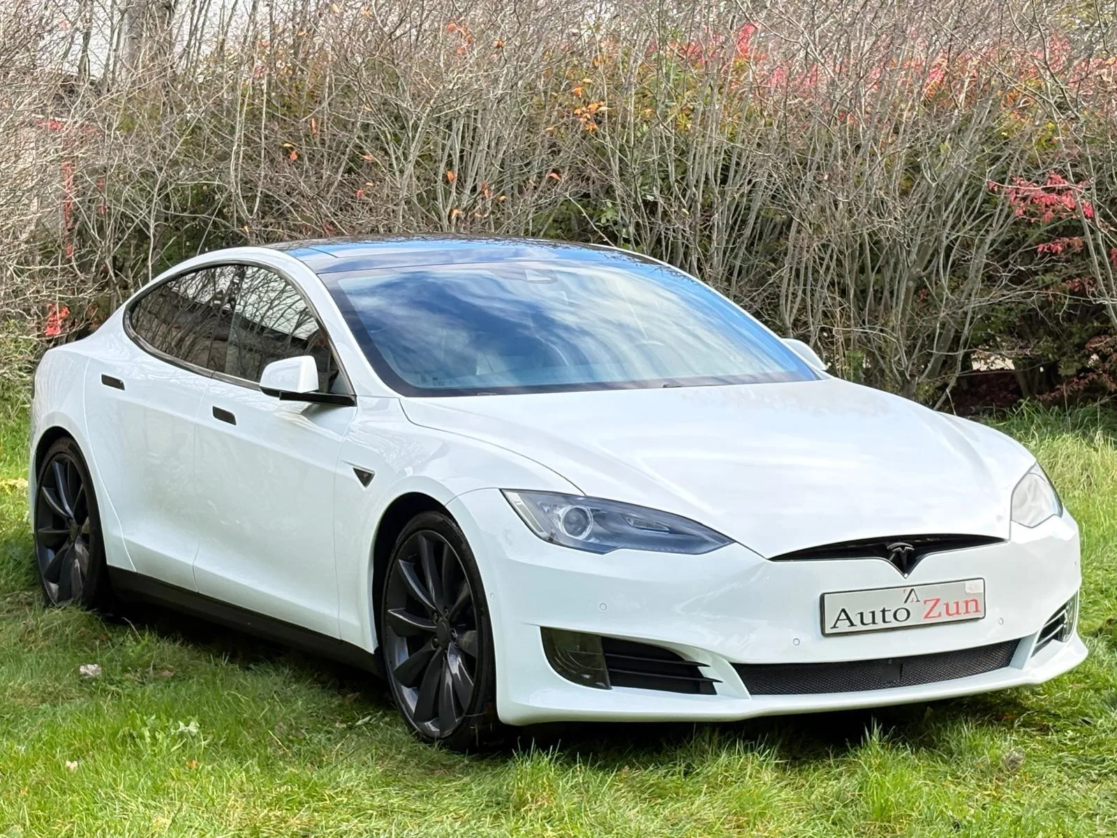 Tesla Model S (2016) — foto 1