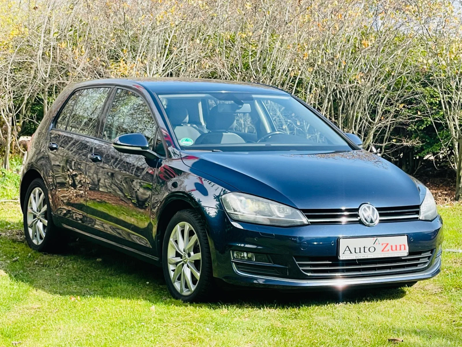Volkswagen Golf (2013) — foto 1