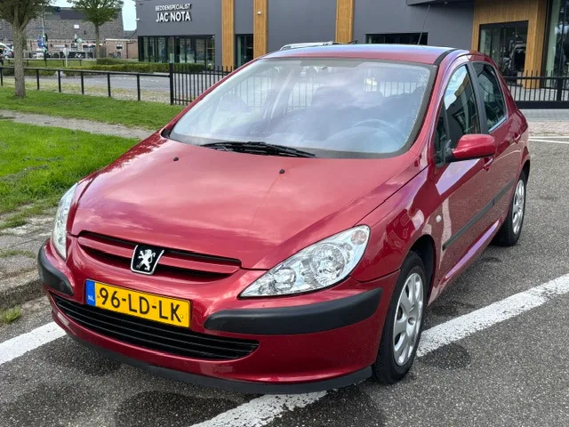 Peugeot 307 (2002) — foto 1