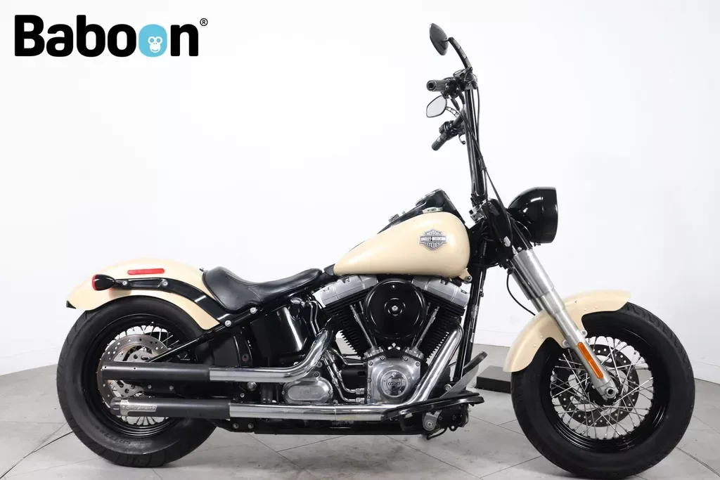 Harley-Davidson Softail (2015) — foto 1
