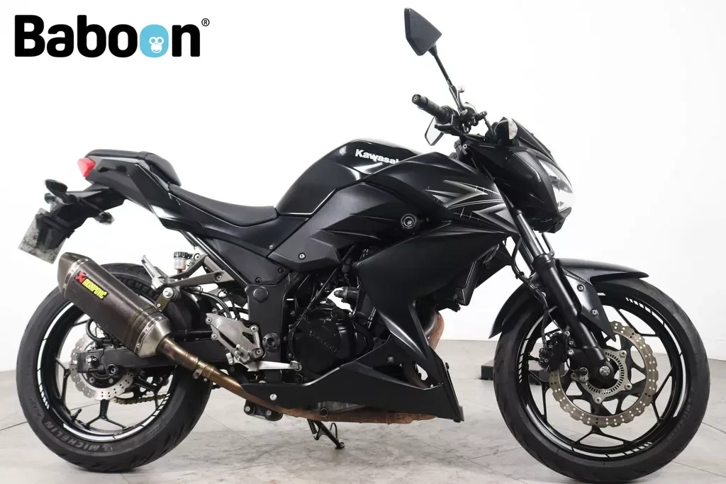 Kawasaki Z300 (2016) — foto 1