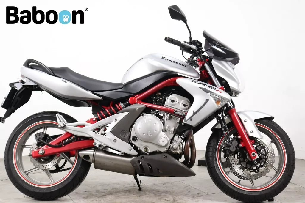 Kawasaki Er-6n (2007) — foto 1