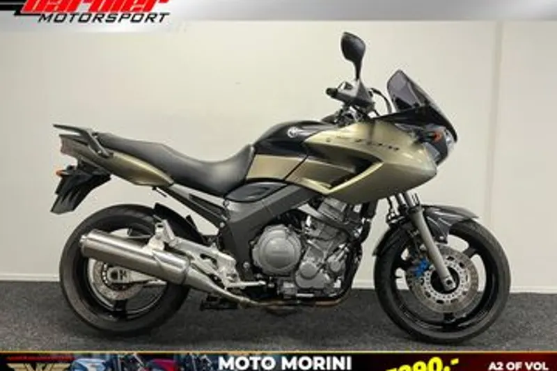 Yamaha TDM 900 (2008)