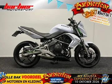 Kawasaki ER-6n (2009) — foto 1